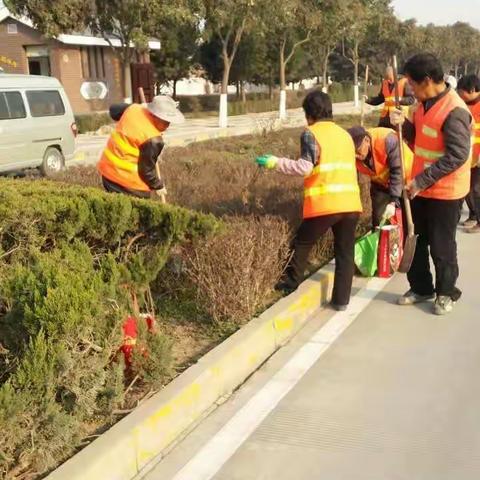 春季补栽工作有序开展中