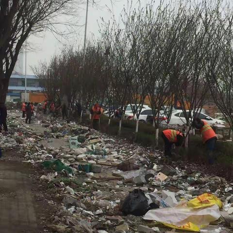 开展清理绿化带卫生死角大整治工作