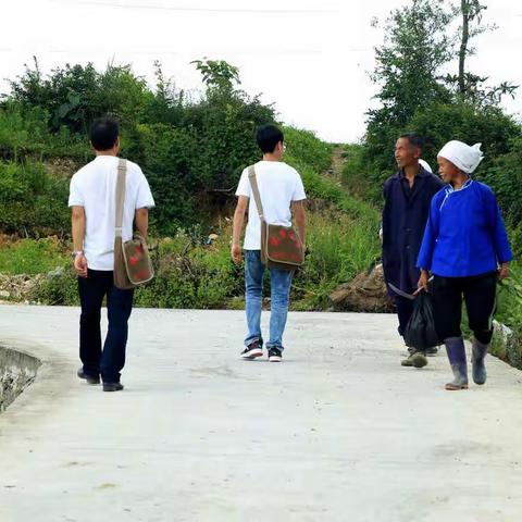 魅力威远，水墨稻乡，我们的端午节！