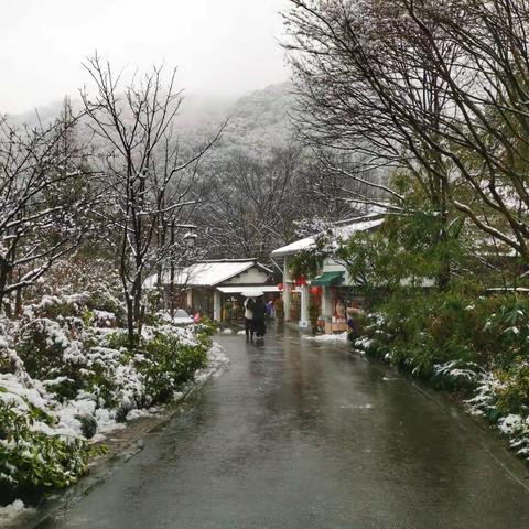 《雨雪上天竺》