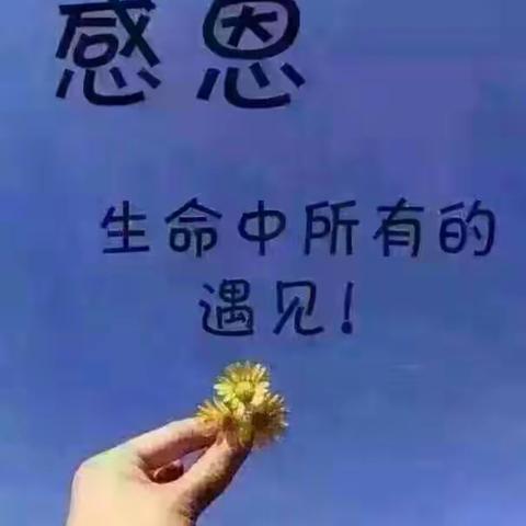 金摇篮幼儿园小班感恩节主题活动