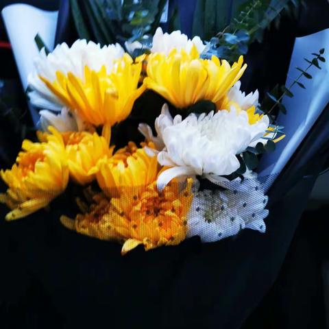 最是人间留不住，朱颜辞镜花辞树——父亲一周年祭文