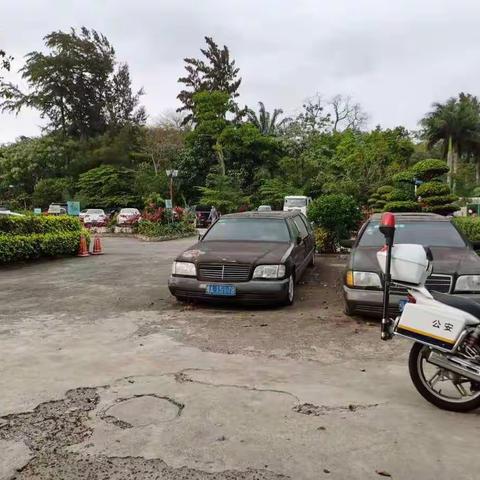 关于《国际旅游岛商报》报道海口金牛岭“僵尸车”的处置情况