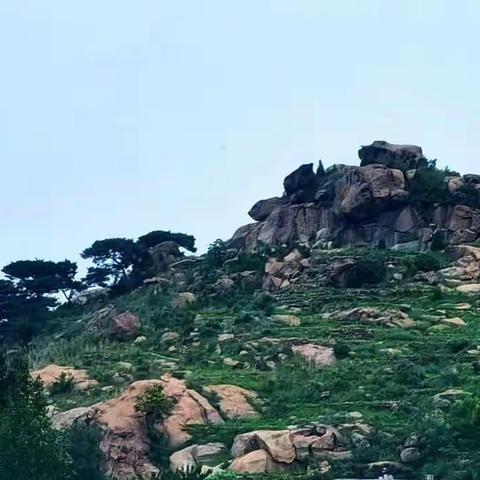 新泰处处有瑞山