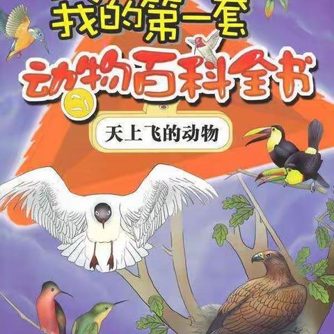 爱佳贝幼儿园中班第38期微课堂开课啦～
