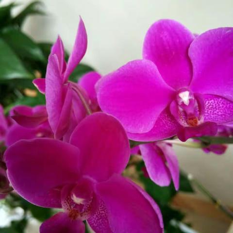 用爱浇灌平凡生活