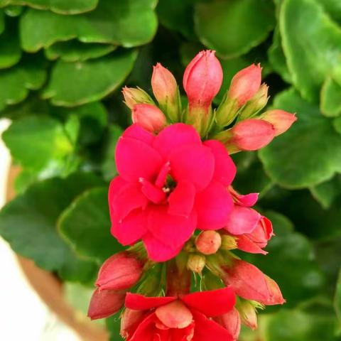 用爱浇灌平凡生活