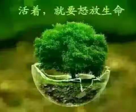 我们都要好好的