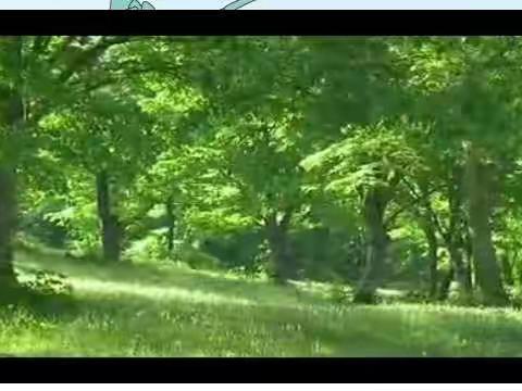 不负光阴，教学相长——贾村小学语文教研组活动纪实