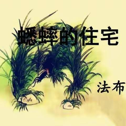 教有所获，研有所得——贾村小学语文组教研活动纪实