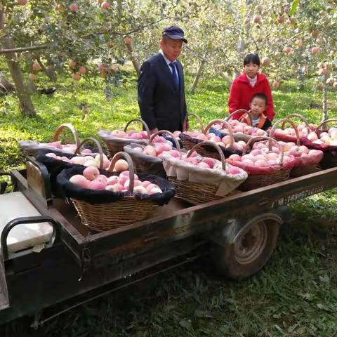 【温宿红旗坡支行】乘势而为，走进果园，抢挖存款