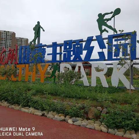 美丽的湿地公园