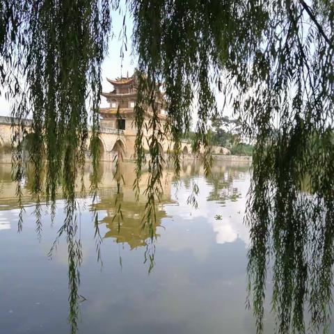 九九重阳，美丽依旧