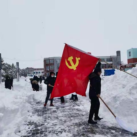 暴风雪封堵校园    特校人铲冰除雪