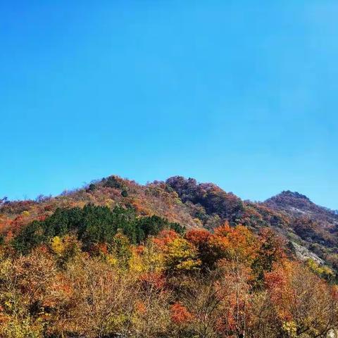 我的青山绿水小诗集（一）