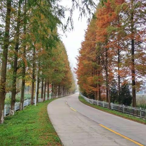 借问青山几多情，愿做绿水换此生。大美青山镇，您永远的家