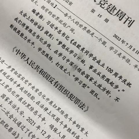 党建学习之丈八党建周刊第十五期