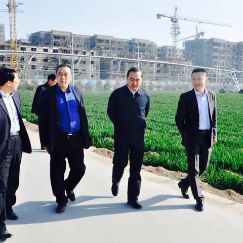 3月27日安徽省阜阳市人民政府市长孙正东一行 莅临中鹤集团指导工作。