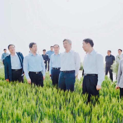 省长陈润儿一行莅临中鹤调研种植业结构调整工作