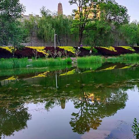 西湖美景