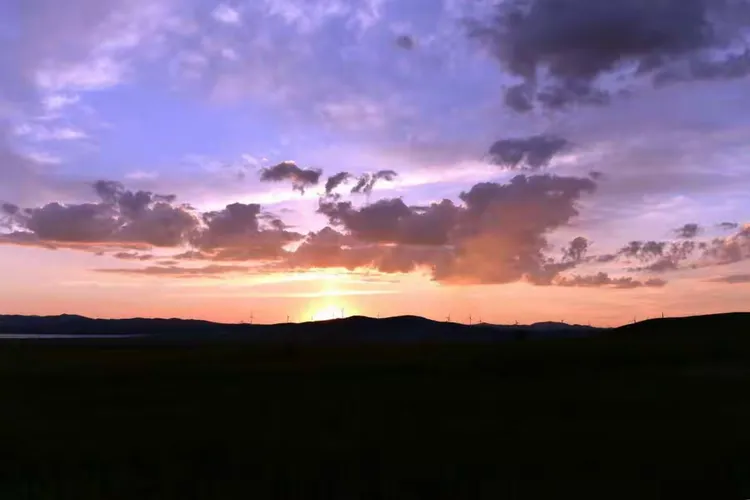 市民惊呼好硬不要，竟是这样惊人真相，背后原因令人意外，全网热议不断。