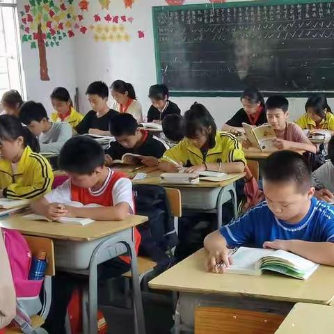 漫游世界名著花园   畅享课外阅读乐趣——平安小学六2班阅读活动