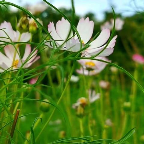 听我说谢谢你——辽宁葫芦岛连山支行个人客户经理关爱活动