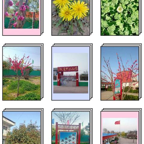 校园花已开 静待你归来