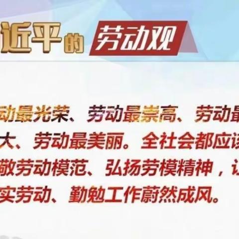 做家务 懂感恩 做最美孩子----孝义七中初一381班寒假家务劳动篇