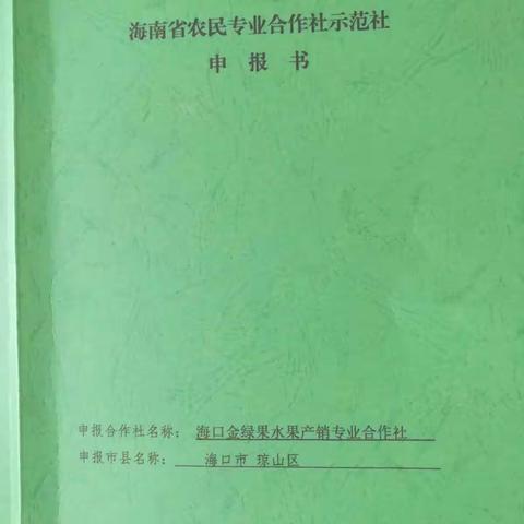 对海口金绿果水果产销专业合作社现场查看