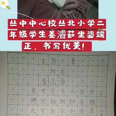 力求一字稳，自小多才学——丛台区丛中中心校丛北小学二年级疫情期间坚持练字！