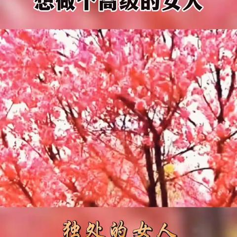 俊俊的美篇