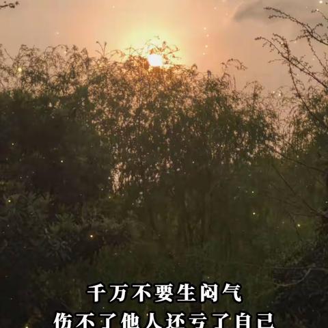俊俊的美篇