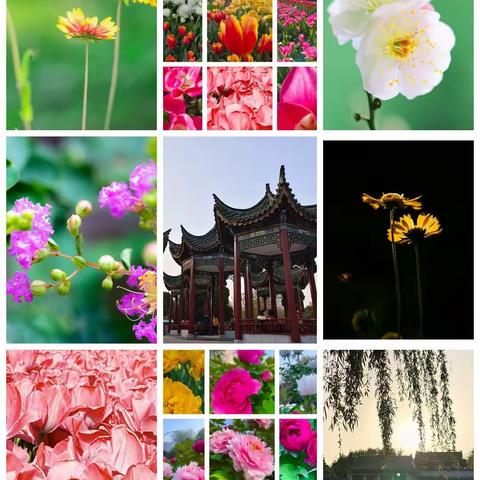 心情，那么舒畅，留下美好