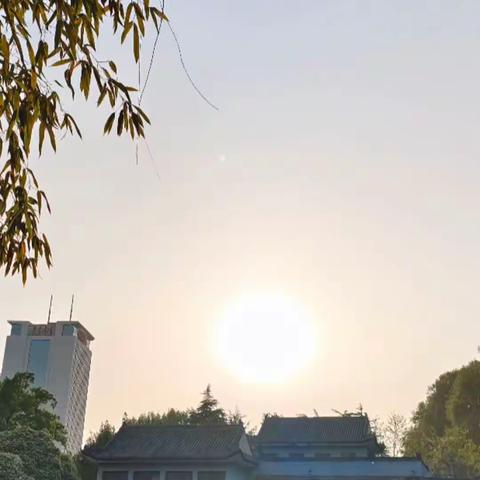 俊俊的美篇