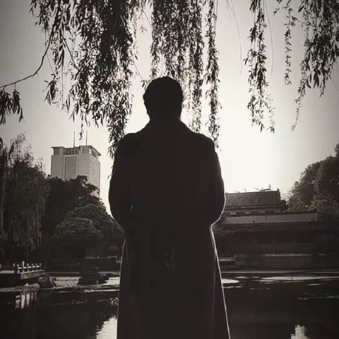 俊俊的美篇