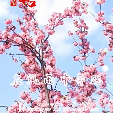 俊俊的美篇