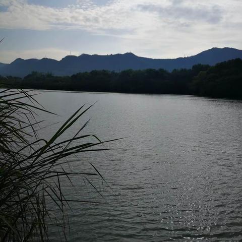 20年的如约而至