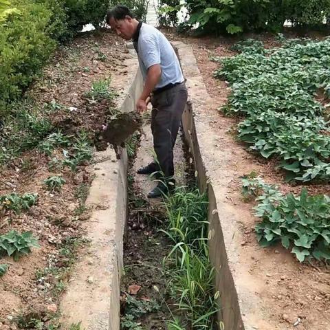 守初心  担使命――白芟小学主题党日活动