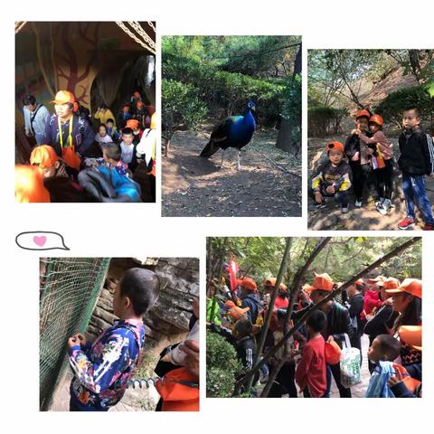 【大王派我来巡山，红叶谷里转一转】泰山冯玉祥小学2018级红叶谷亲子之旅